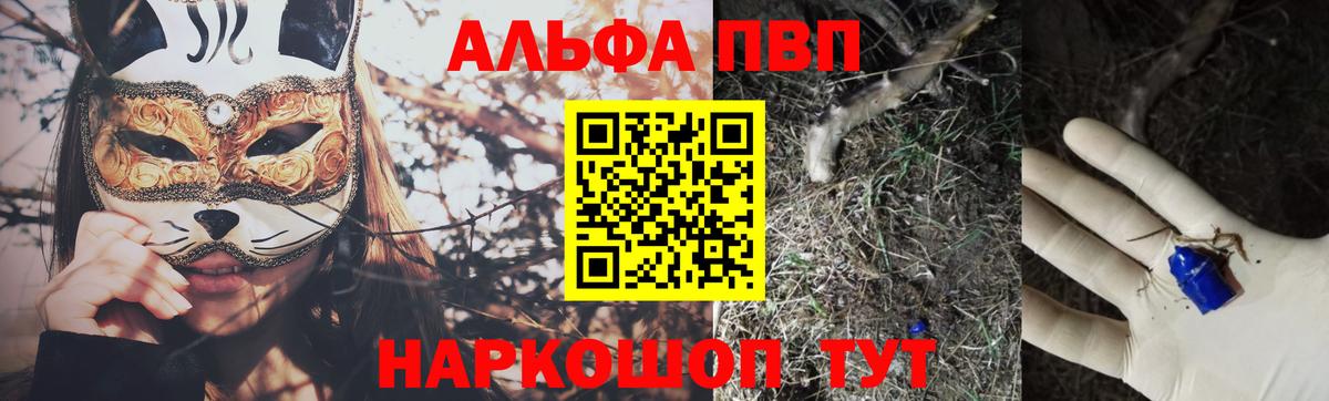 Alfa_PVP СК Нижневартовск
