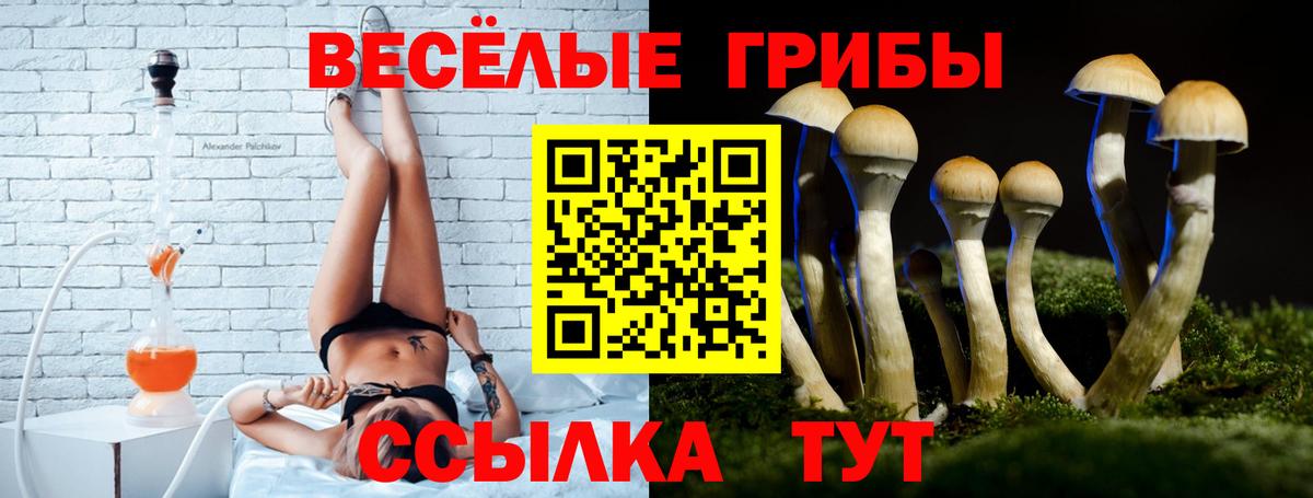 Нижневартовск  Галлюциногенные грибы ЛСД  Вход с VPN 